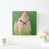 未開のユリの球根、ダーバン植物 スクエア壁時計 (ホーム)