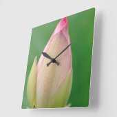 未開のユリの球根、ダーバン植物 スクエア壁時計 (傾斜)