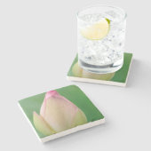 未開のユリの球根、ダーバン植物 ストーンコースター (横)