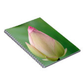 未開のユリの球根、ダーバン植物 ノートブック (右側)