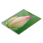 未開のユリの球根、ダーバン植物 ノートブック (左側)