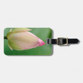 未開のユリの球根、ダーバン植物 ラゲッジタグ (正面横)