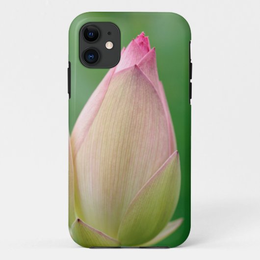未開のユリの球根、ダーバン植物 Case-Mate iPhoneケース (裏面)