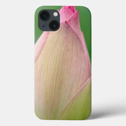 未開のユリの球根、ダーバン植物 Case-Mate iPhoneケース (裏面)
