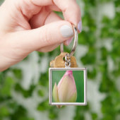 未開花のスイレン球根、ダーバン植物園 キーホルダー (手)