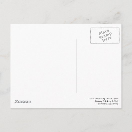 末期はがきのセダム「秋の喜び威厳がある」 ポストカード (裏面)