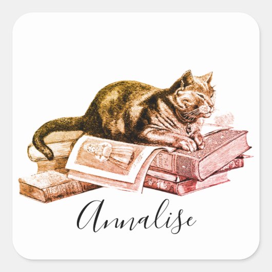 本の山に横たわる猫 スクエアシール (正面)