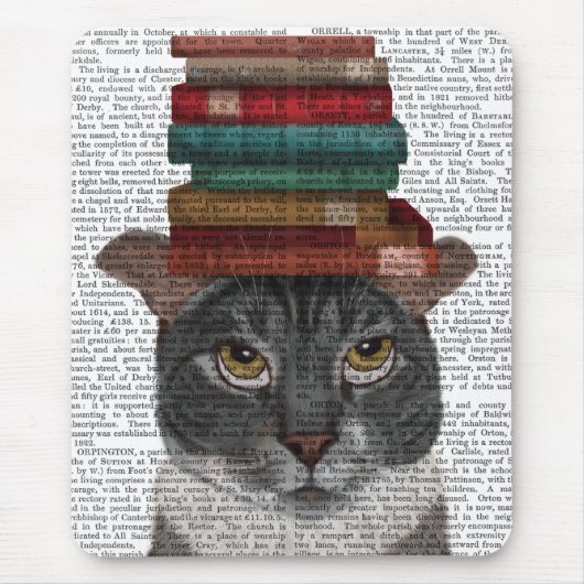 本を頭に載せたグレー猫 マウスパッド (正面)