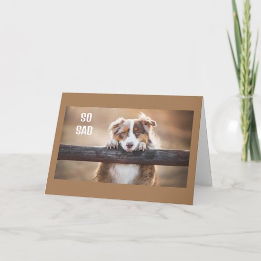 本人にこう言いたい**幸せ60誕生日** カード (正面)