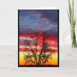 本国へご尽力ありがとうございます サンキューカード