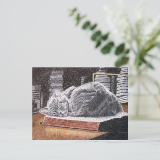 本屋猫 ポストカード (スタンド正面)