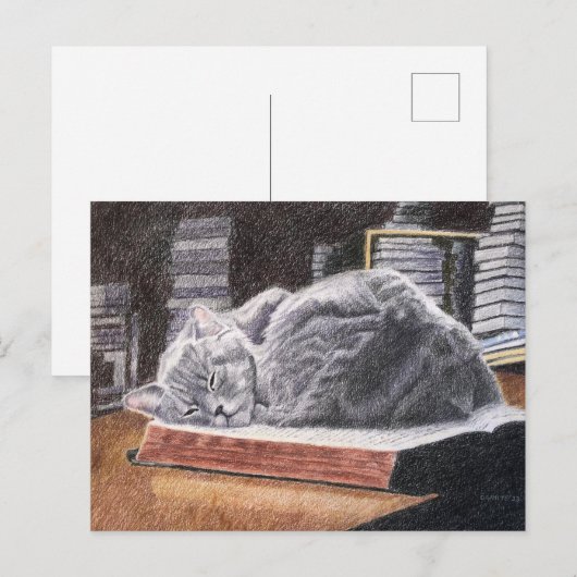 本屋猫 ポストカード (正面/裏面)