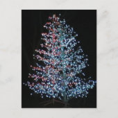 本当に明るい！ ポストカード (正面)