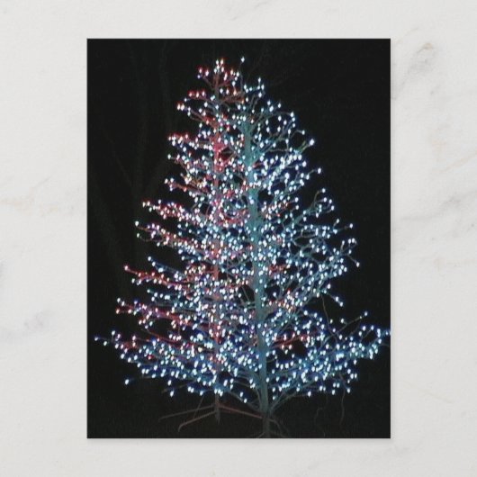 本当に明るい！ ポストカード (正面)