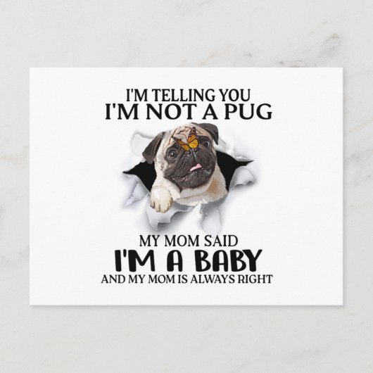 本当に言ってる、私はパグじゃない、ベイビーパグラバーなのよ ポストカード (正面)