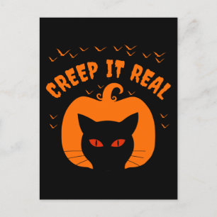 本当に面白いネコのハロウィン ポストカード