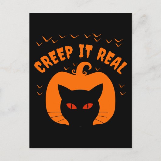 本当に面白いネコのハロウィン ポストカード (正面)