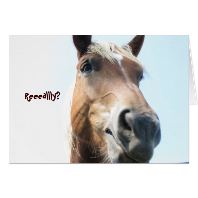 本当に？ (正面横)