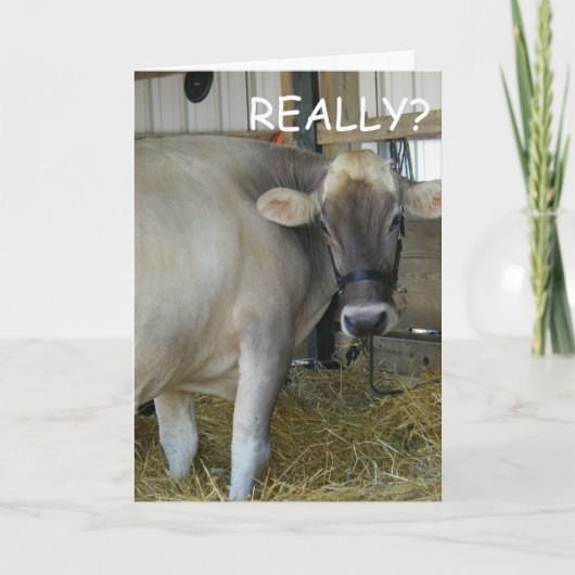 本当に？グーグー！ カード (正面)