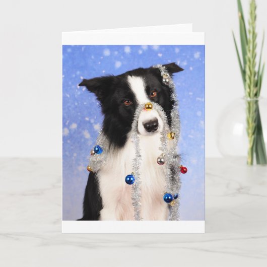 本当に? シーズンカード (正面)