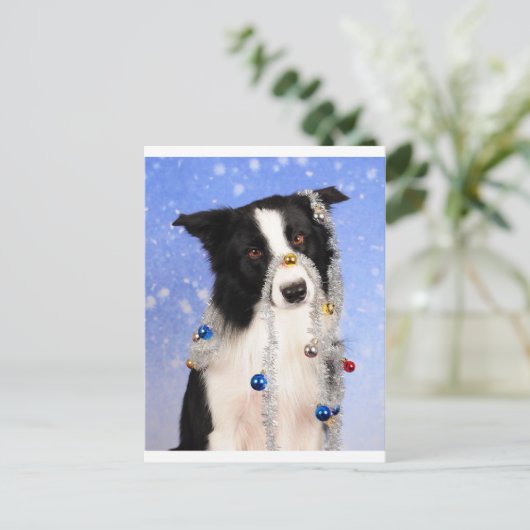 本当に？ ポストカード (スタンド正面)