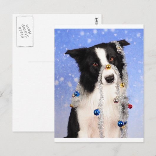 本当に？ ポストカード (正面/裏面)