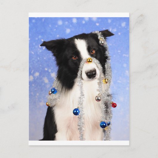 本当に？ ポストカード (正面)