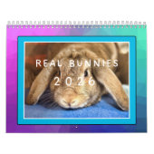 本当のウサギ 2026 カレンダー (カバー)