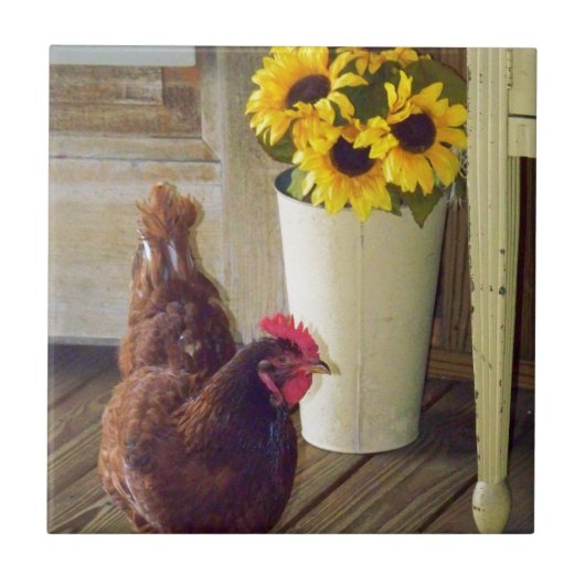 本当の国 タイル (正面)