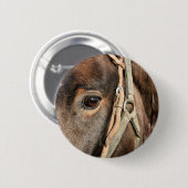 本当の美しい 缶バッジ (正面&裏面)