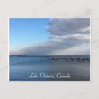 本当クール ポストカード