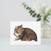 本当怒に猫 ポストカード (スタンド正面)