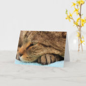 本当恋しく思に猫だ カード (黄色い花)