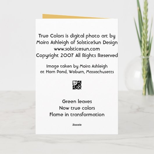 本来の性格 カード (裏面)