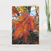 本来の性格 カード (正面)