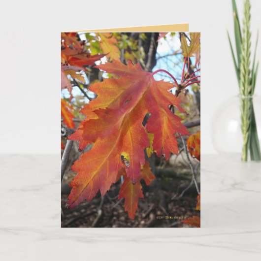 本来の性格 カード (正面)