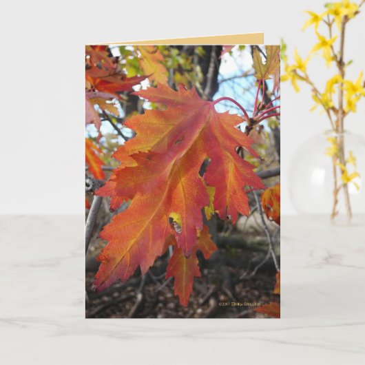 本来の性格 カード (黄色い花)