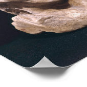 本柱からバッカスとサテュロの頭 ポスター (角)