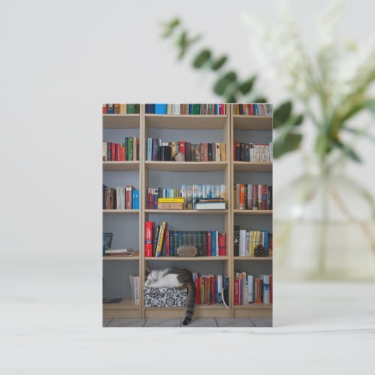 本棚の図書室で寝ている猫 ポストカード (スタンド正面)