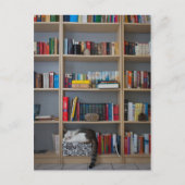 本棚の図書室で寝ている猫 ポストカード (正面)