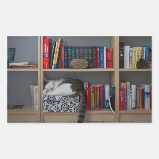 本棚の図書室で寝るかわいい猫 長方形シール (正面)