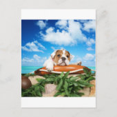 本気か？ ポストカード (正面)