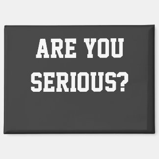 本気か？ マグネット