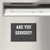 本気か？ マグネット (インサイチュ (食洗機))