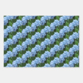 本物のアジサイの花 ラッピングペーパーシート (正面2)