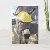 「本物のイースターバニー」ホリデーカード シーズンカード (正面)