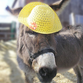 「本物のイースターバニー」ホリデーカード シーズンカード