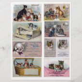 本物のビクトリアンヴィンテージ広告のトレードカード (正面)