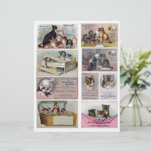 本物のビクトリアンヴィンテージ広告のトレードカード (スタンド正面)