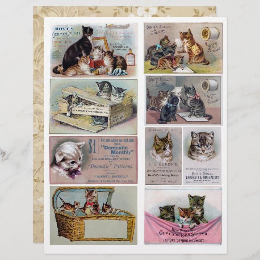 本物のビクトリアンヴィンテージ広告のトレードカード (正面/裏面)